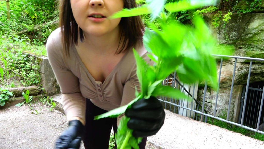 24f086fb1eeedf7c6774120f6fefca96