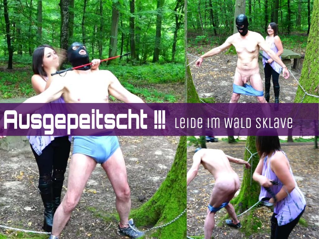 d5321aadc414d372d0d80e7152cb8b87