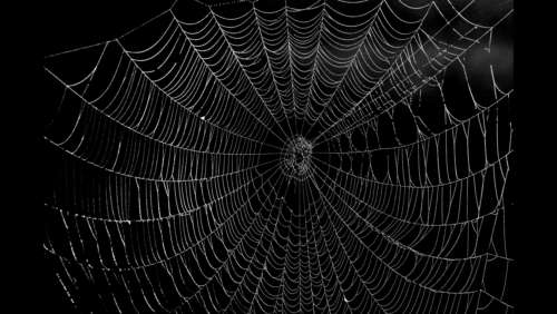 00a0b5d8c4171220d83ad02783324858