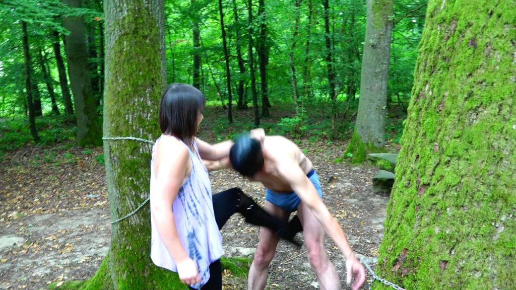 e8613fd46d6cfa4d5a720d6b6a648b4d