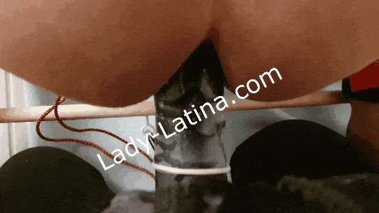 0da9ec58b4be7d0831a92f4638b603a4