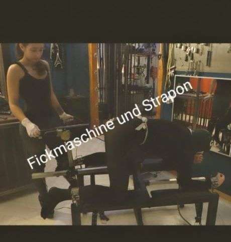 740a557a6de21bbc254aef2a8bee4167