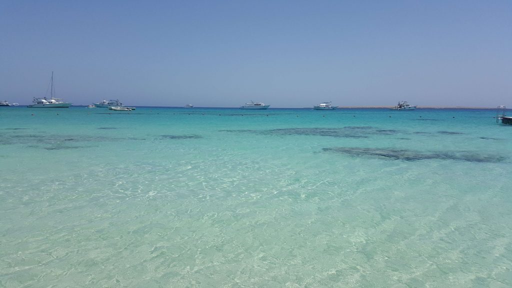 a258628b711681a4668cd5a401ba4899