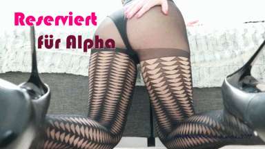 38de8600fdc93ba9e23a9d4619355e0b