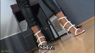 4803e65ab905f3e517ca0507306dc0ac