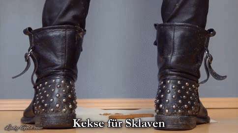 6d0ed7257cfe870a8212e87d1b6bc160