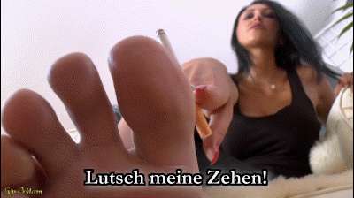 f038d91312f274519673c75474eeb68f