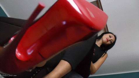 8f63fda1edd7a13049d458c4ea3d95b8