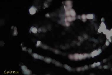 3026414c5d83545b7f6c6d6cf57f1437