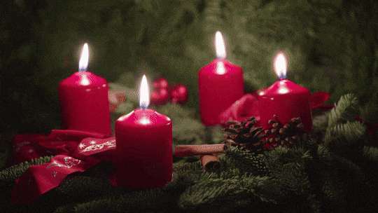 8ec2e1f541956640dacbff0c25ecbe79