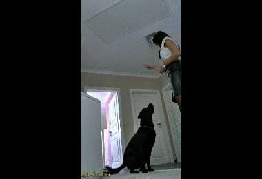 58b3d608aaf72419e325b488bffbf6a3