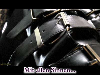 981c6fd96bc8acea60b67aa3a2a792c9