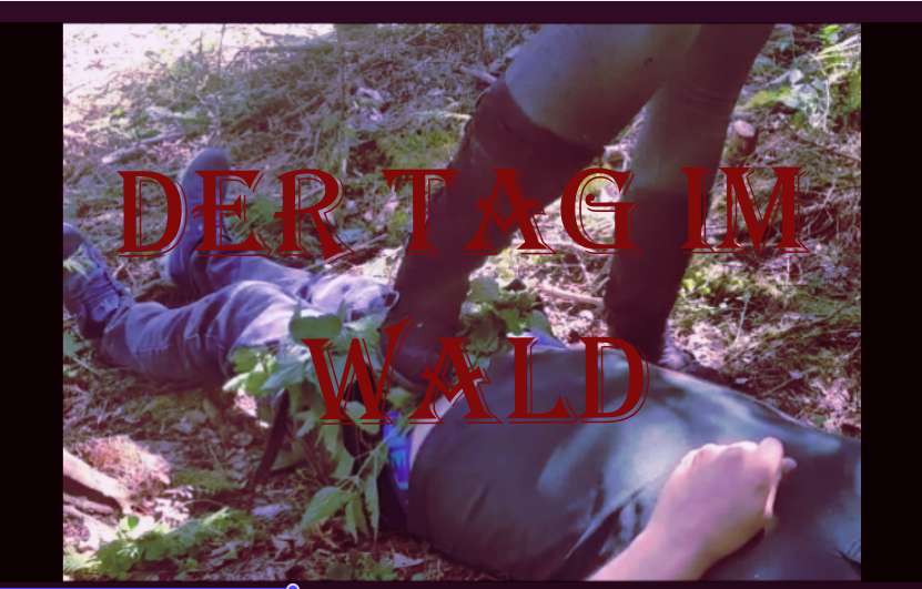 63e8d8fcdd50253f8d6db808fae2b1e9