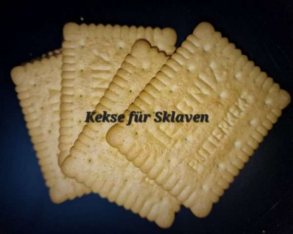 e239534c5dd70f989abb5950c109c740