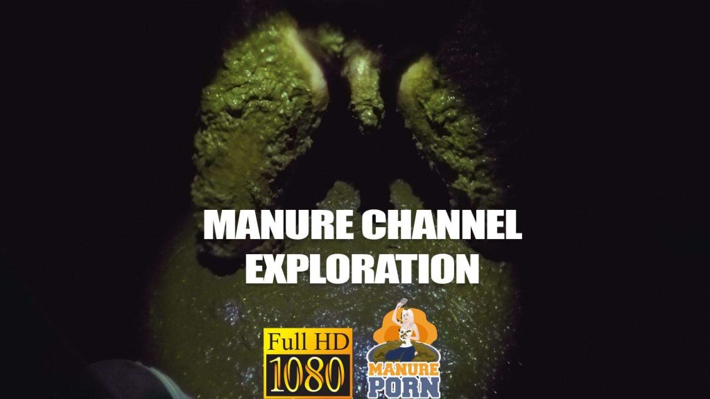 b65e531b2080bfc3380695a760ac20a2