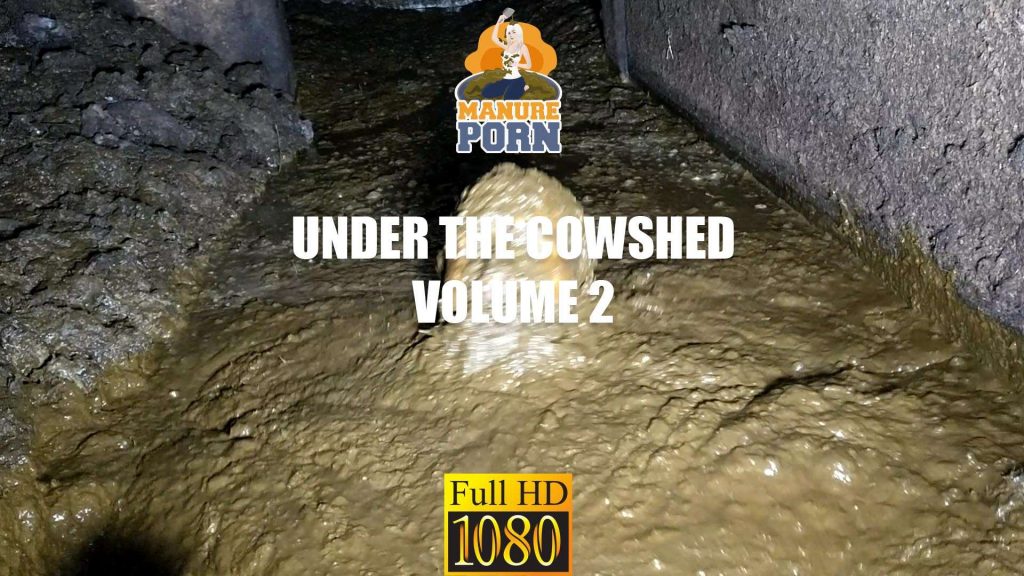 ddde3d13cdecb024f92e3ff5167d0ef4