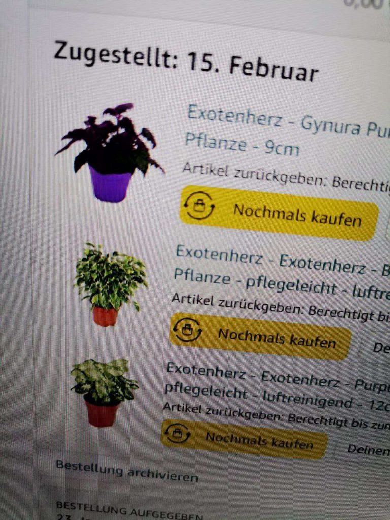 0f2670ac4e8c3032c75447384e3cabe5