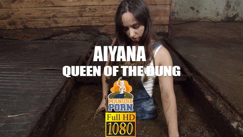 238ba7318a2f827adc204fe0085c1002