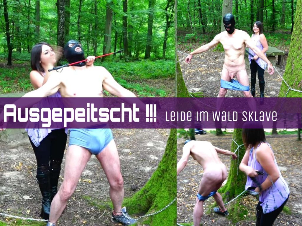 924d5a31c0a2ad23f32aeea5f85df6a2