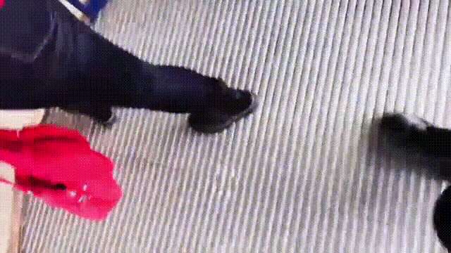 d41c4279e268335765922fd43ee1ef49