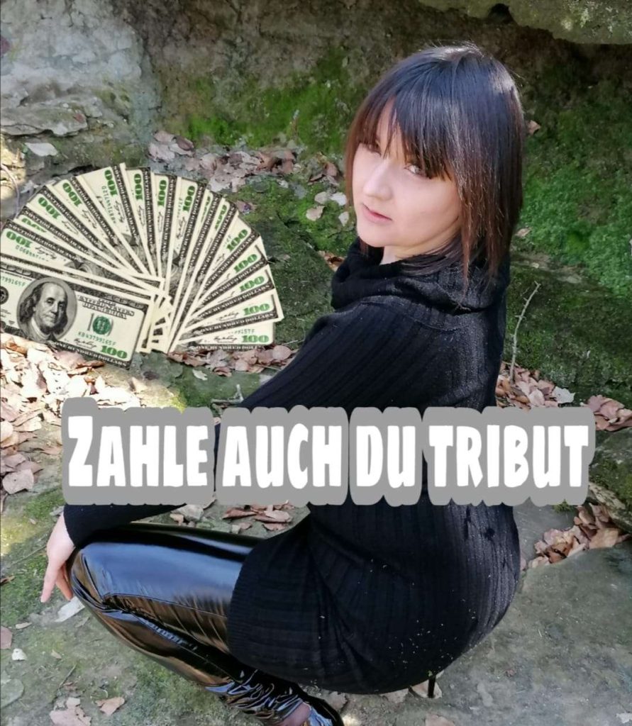 e872d6f0094bee29bddc8560cd4e77d3