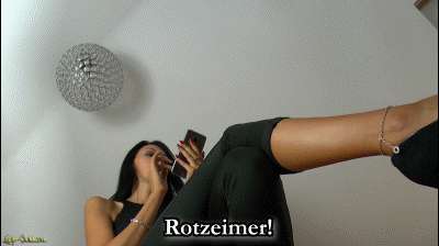 92d6049813329fce9c05de6a90cd4086