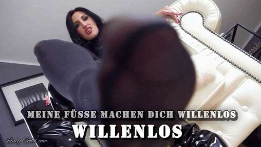 d025458c0dbd4829a9a1cea2fbfecc5a