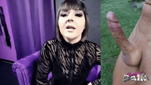 c52901f3a106dd90ab515fdc03cc1428