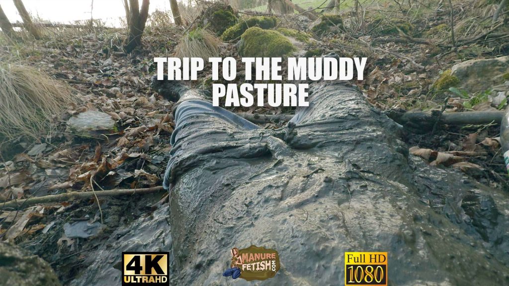 9c154cc3d1453abc67dfda32361e5daa