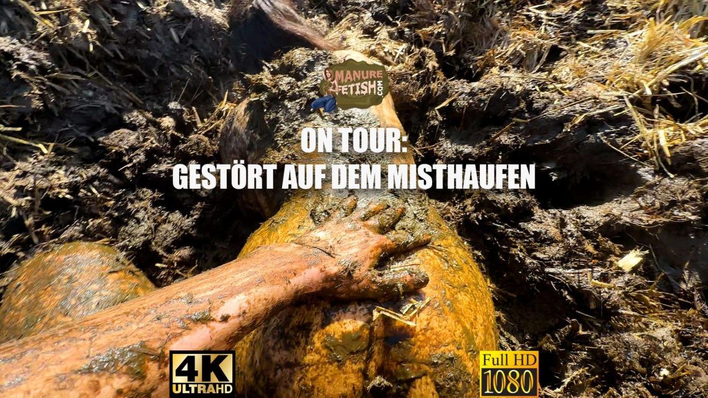 b66a6dd659d2b404aadcf26aca0cf634