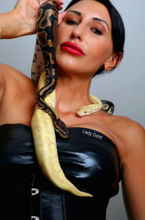 cf6636d48d346ff340cbceef9a4489f5