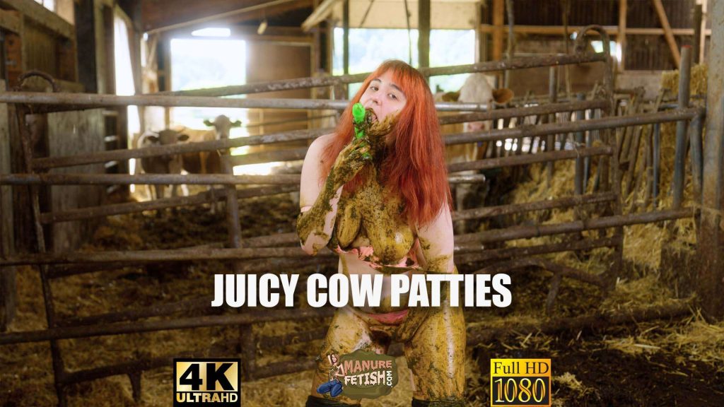 afb86b24dffa08bc1dd1b6d63eea0b99