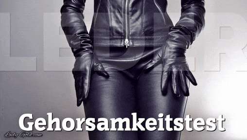 d781b51efd4819d6b961f20b272d5227