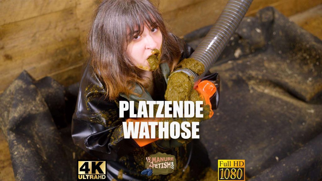 d98274905830699ef0b6068fbb338823