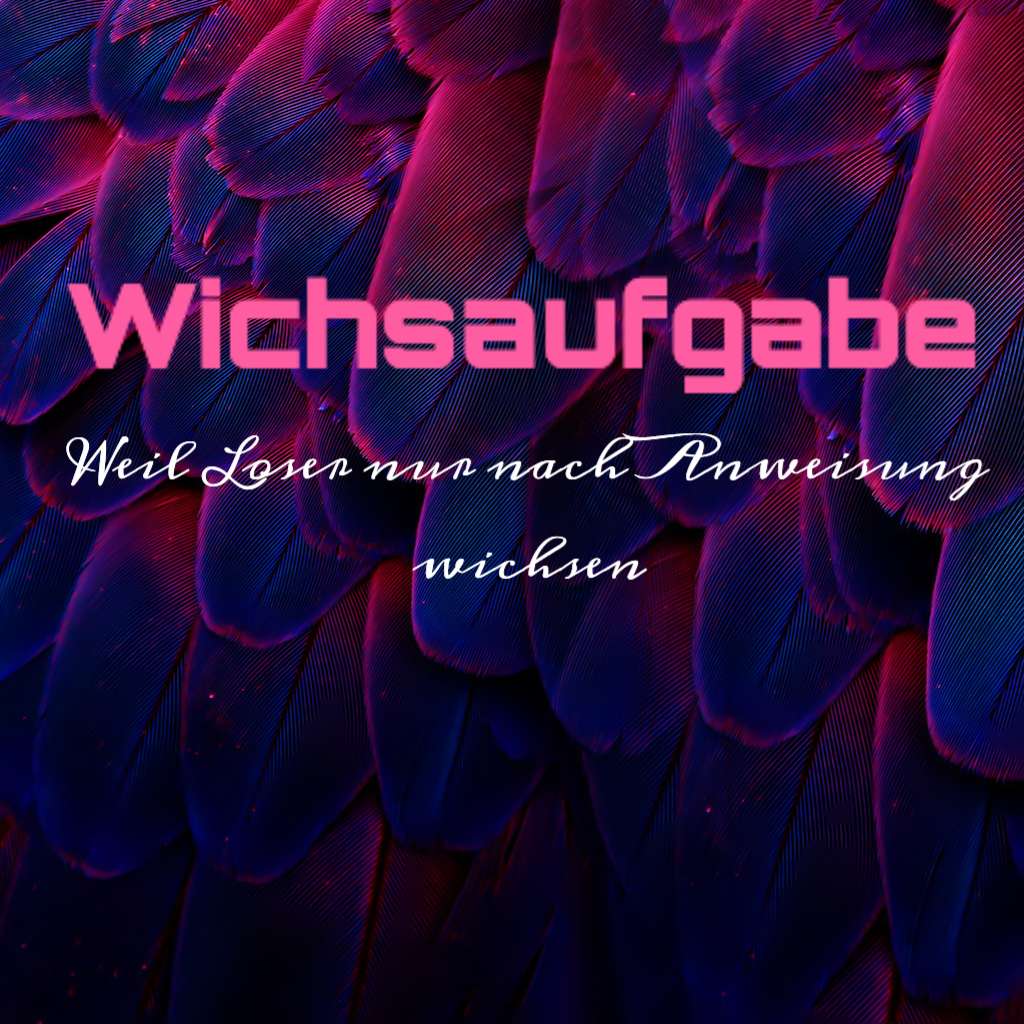 fd35bc6c515cb8b1693176484de6d575