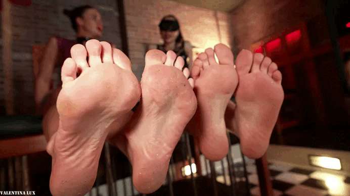 a185c8a25255a166b7f01cb83579f14b