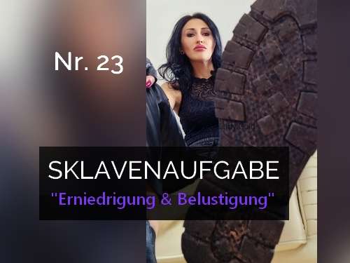 113909cdd6bdfd14594b7066b4c19283