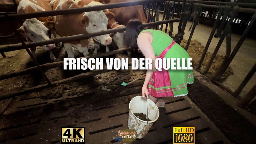 3f350d00729a48fbd5b32faec7cf0ee7