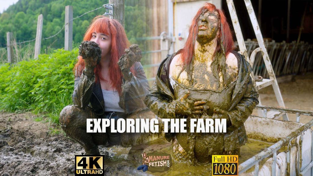 49da45ba15ece968a00d29b0b4a98c61