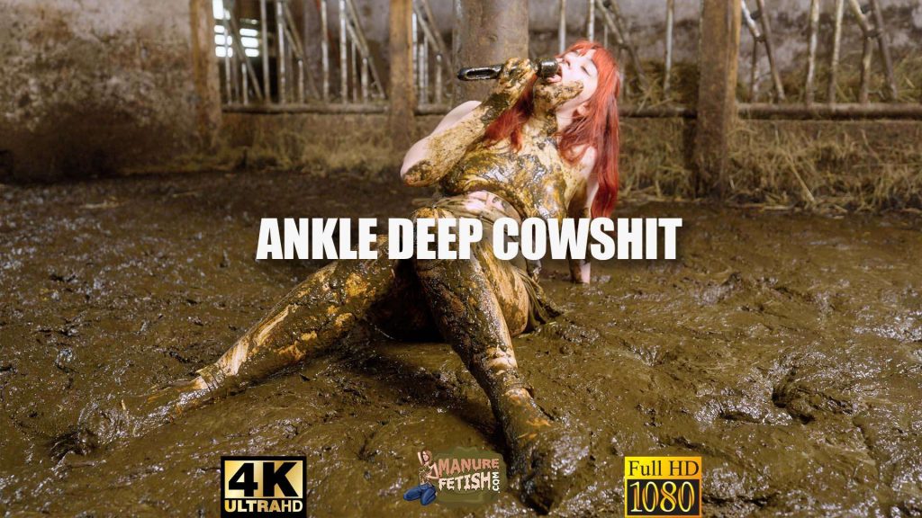 608fcc22a4af8a9555a46bb7b80d4312