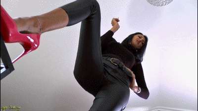 ab3553a1ca73c3b5177621a4f593373c