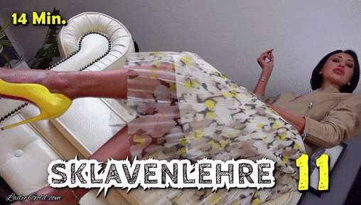 660599626528df167346d1353e27a3e6