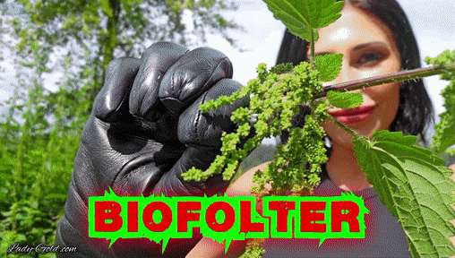 bb50b35285f2a3af6981c872de5bf02e