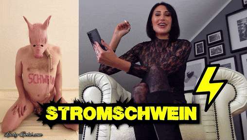 4d655a62fc69fd1cc1427cd6b9dd53d9