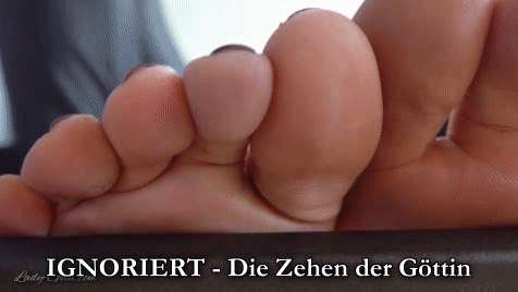 995f05853668de0e48c3ab46da3a551c