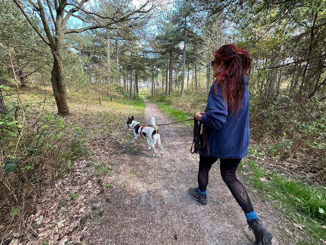 05eab5b460a1184a9f3a61c717944ea7