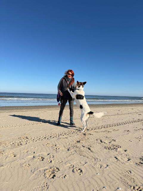 5fbc75308519fb4cfe9b9dd5f3fa401f