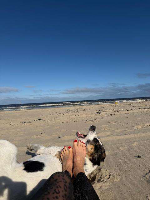 9070c3ae6ed421ab6c3fc677bac26214