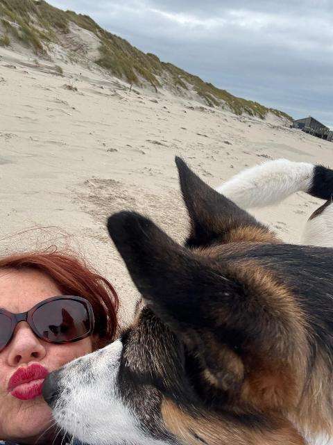 d444dccf720d546815cad0622a311c60