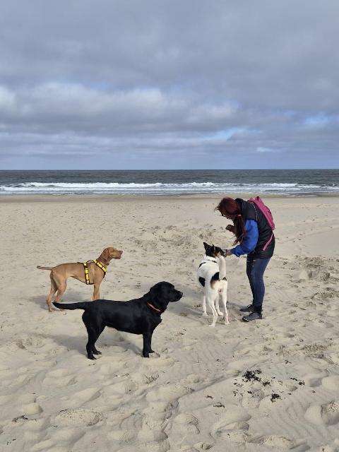 e703232fd897e06395fb8622291d36b3